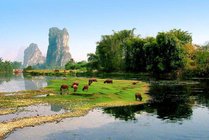 世外桃源景点天气实景图