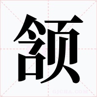 颔字字形