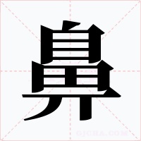 鼻字的字形和写法