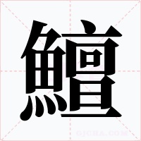 鱣字字形