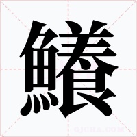 鱶字字形