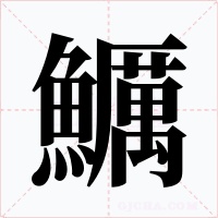 鱱字字形