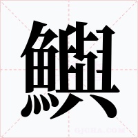 鱮字的字形和写法