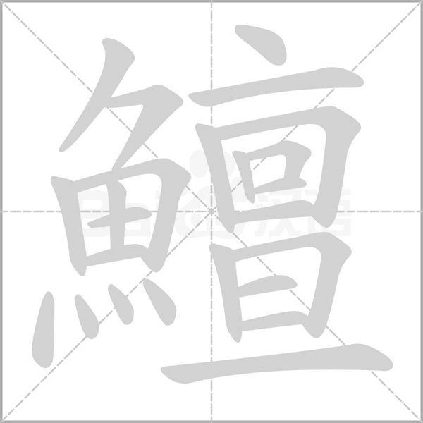 鱣字笔顺图