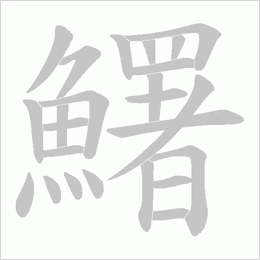 鱰字笔顺图