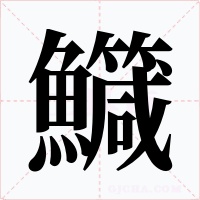 鱵字字形