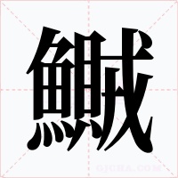 鱡字字形