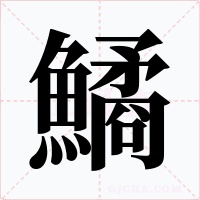 鱊字字形