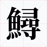 鱘字的字形和写法
