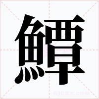 鱏字的字形和写法