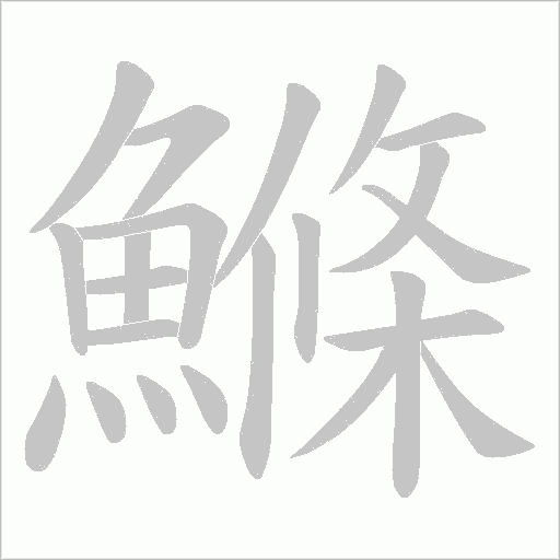 鰷字笔顺图