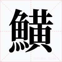 鱑字的字形和写法