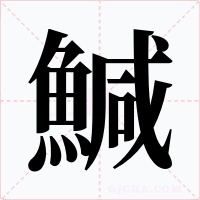 鰔字的字形和写法