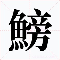 鰟字字形