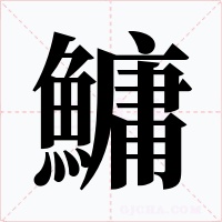 鱅字的字形和写法