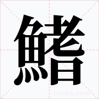 鰭字的字形和写法