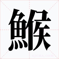 鯸字的字形和写法