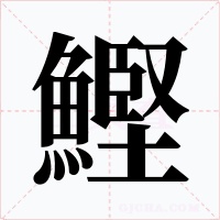 鰹字的字形和写法