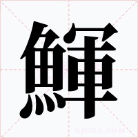 鯶字字形