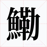 鰳字的字形和写法