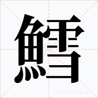 鱈字的字形和写法