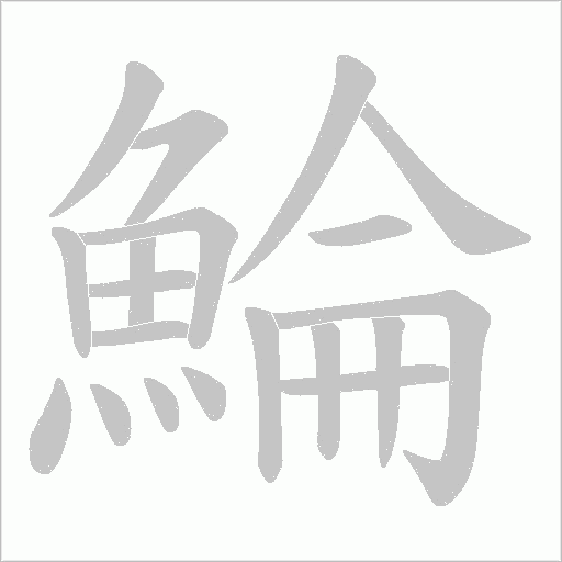 鯩字笔顺图