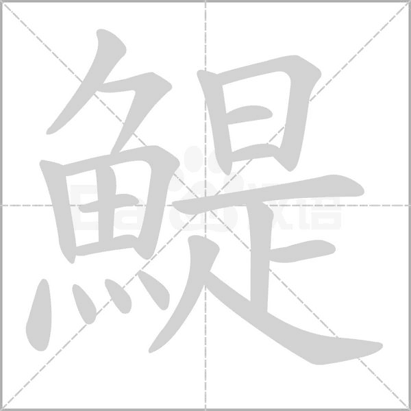 鯷字笔顺图