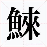鯠字字形