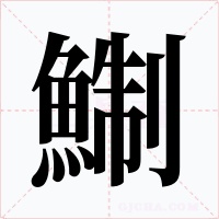 鯯字的字形和写法