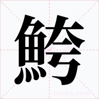 鮬字的字形和写法