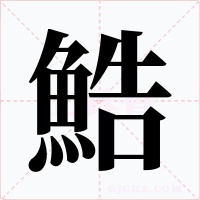 鯌字的字形和写法