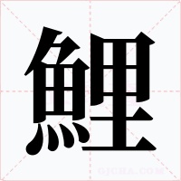鯉字的字形和写法