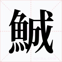 鯎字的字形和写法