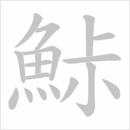 鮛字笔顺图