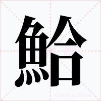 鮯字的字形和写法