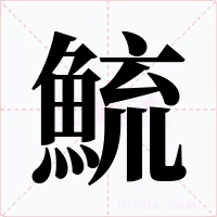 鯍字的字形和写法