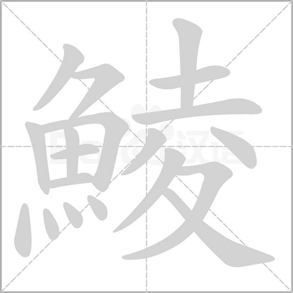 鯪字笔顺图