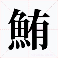 鮪字的字形和写法