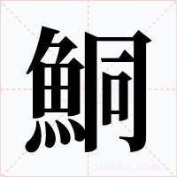 鮦字的字形和写法
