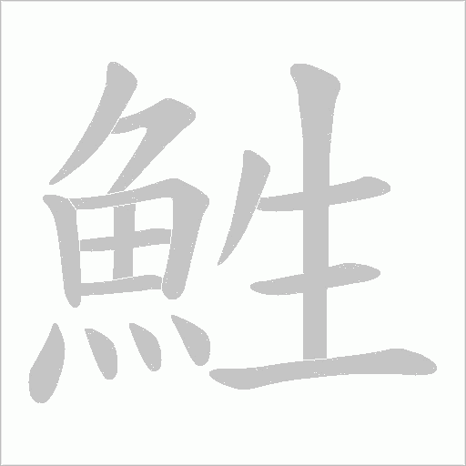 鮏字笔顺图