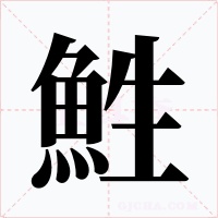 鮏字的字形和写法