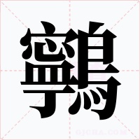 鸋字的字形和写法