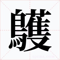 鸌字的字形和写法
