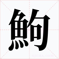 鮈字字形
