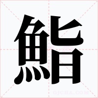 鮨字字形