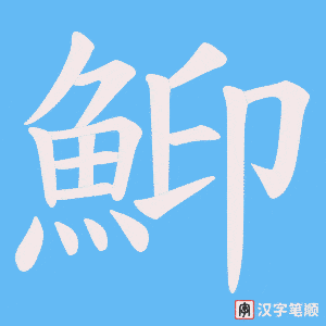 鮣字笔顺图