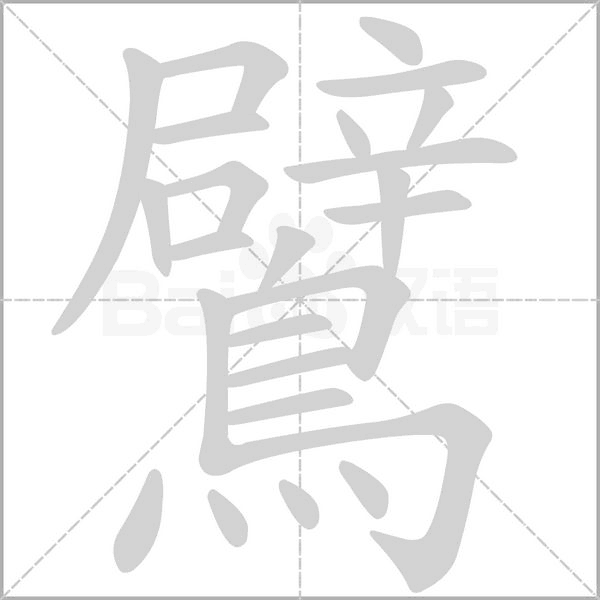 鷿字笔顺图