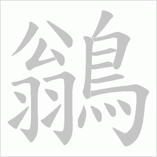 鶲字笔顺图