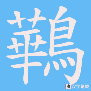 鷨字笔顺图