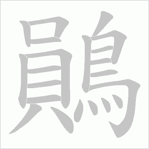 鶰字笔顺图